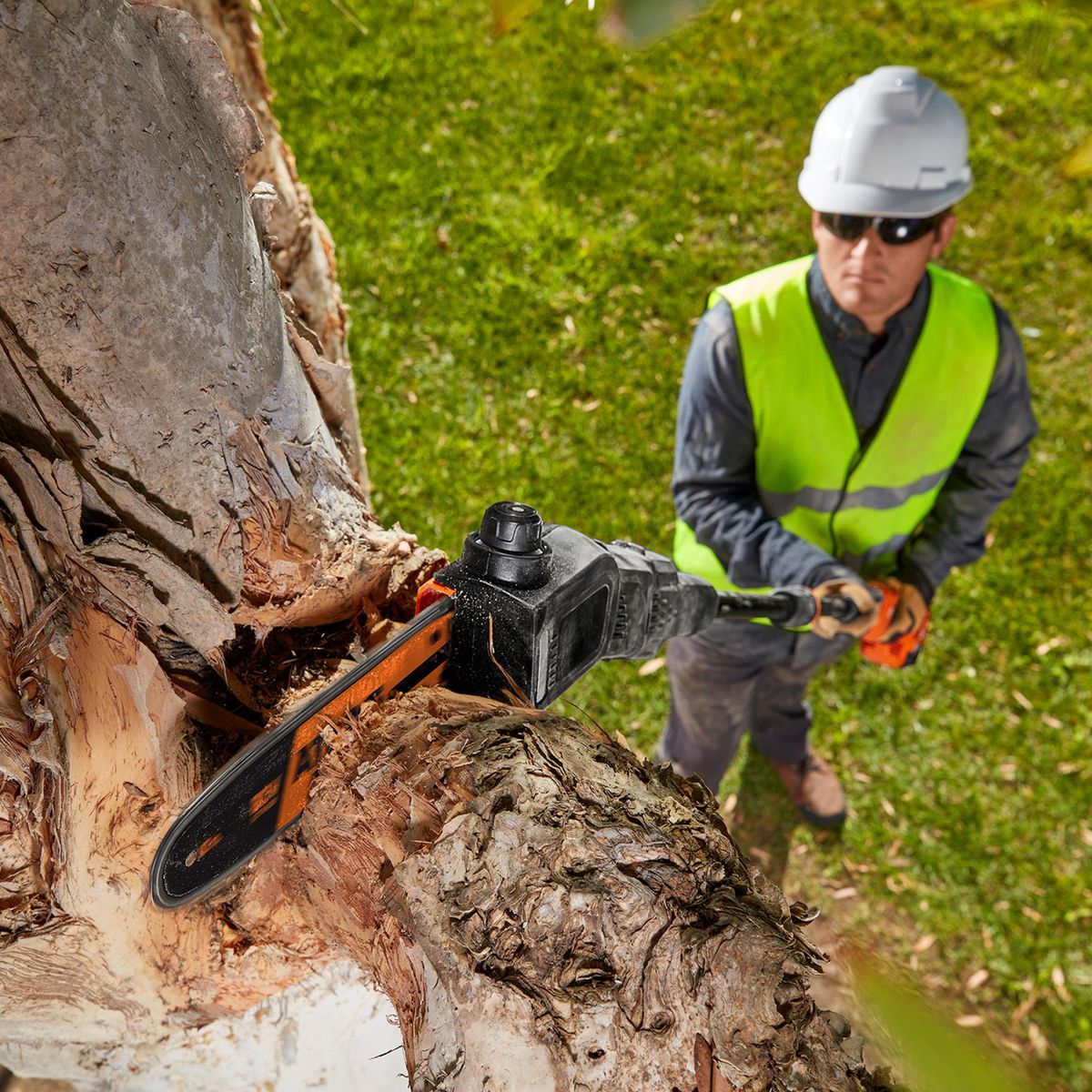 80V Brushless Cordless 10 in. Pole Saw B28849