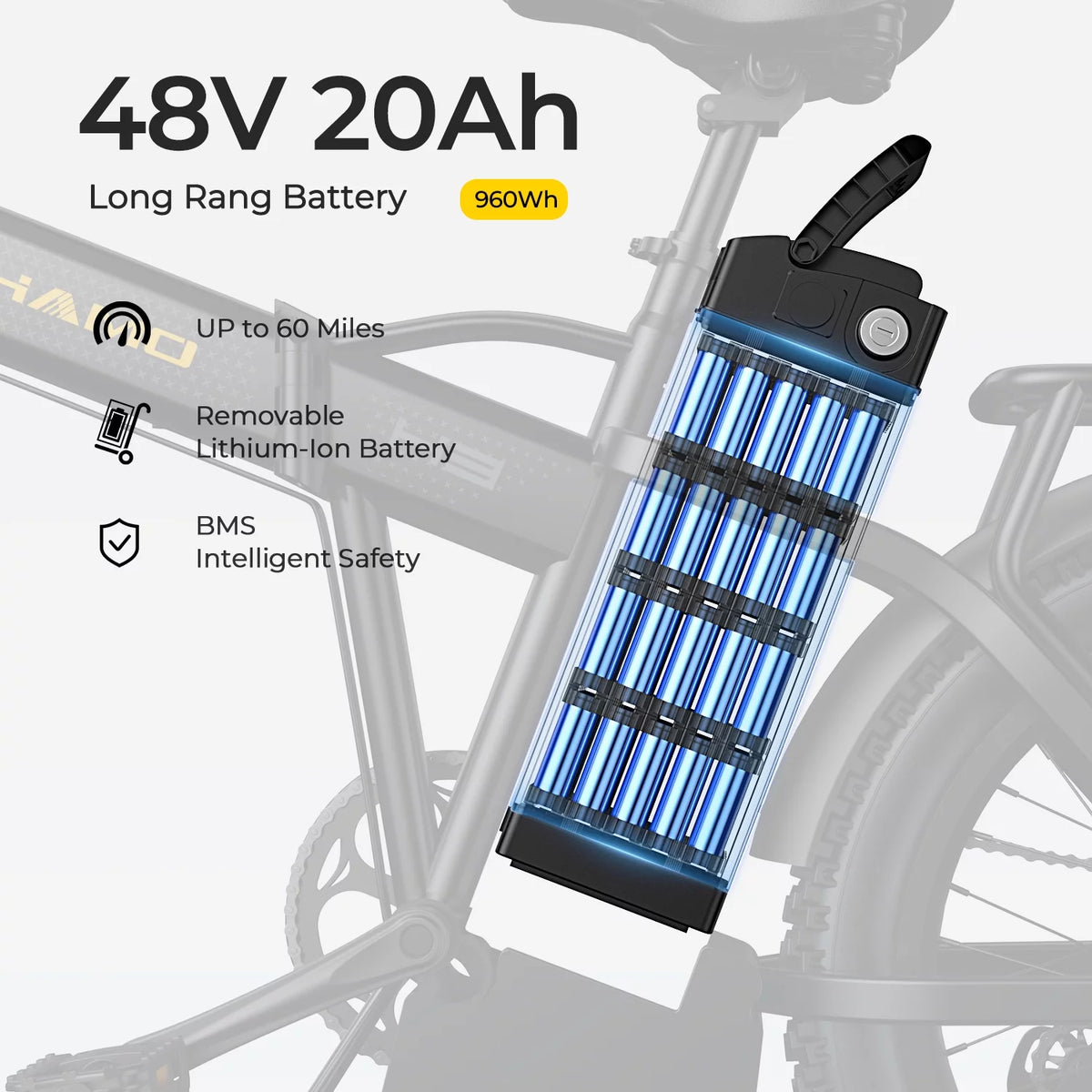20 Fat Tire Folding Electric Bike 750W 48V 15Ah D6682