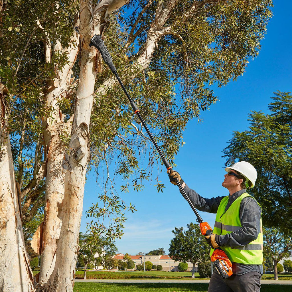 80V Brushless Cordless 10 in. Pole Saw B28849