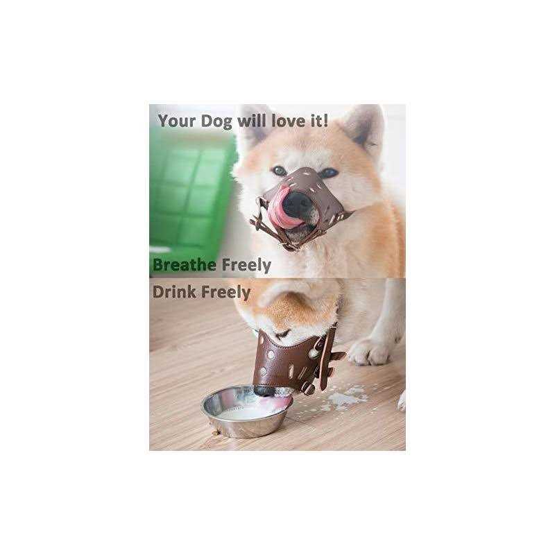 Leather Dog Muzzle Z758