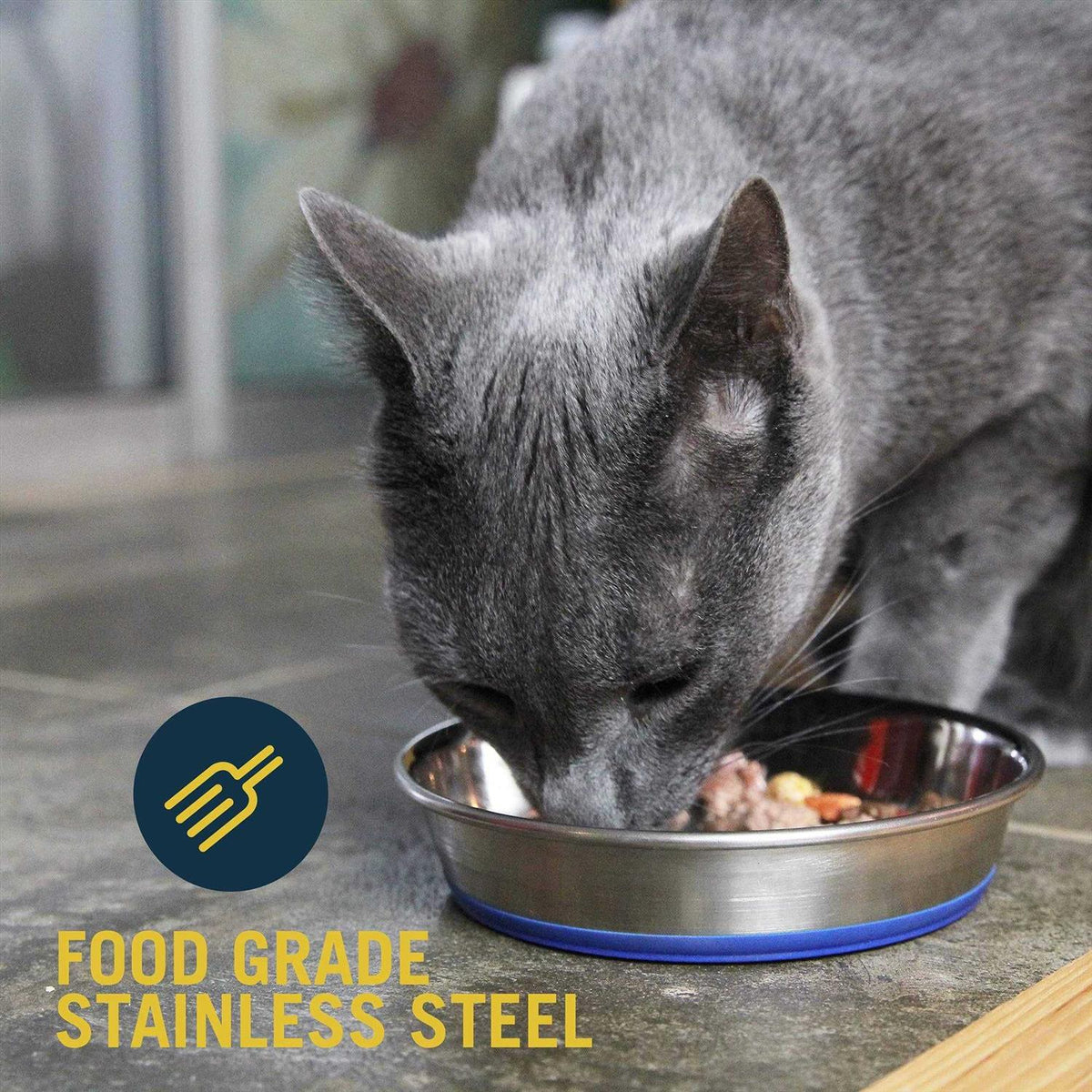 Stainless Steel Cat Dish Z9270