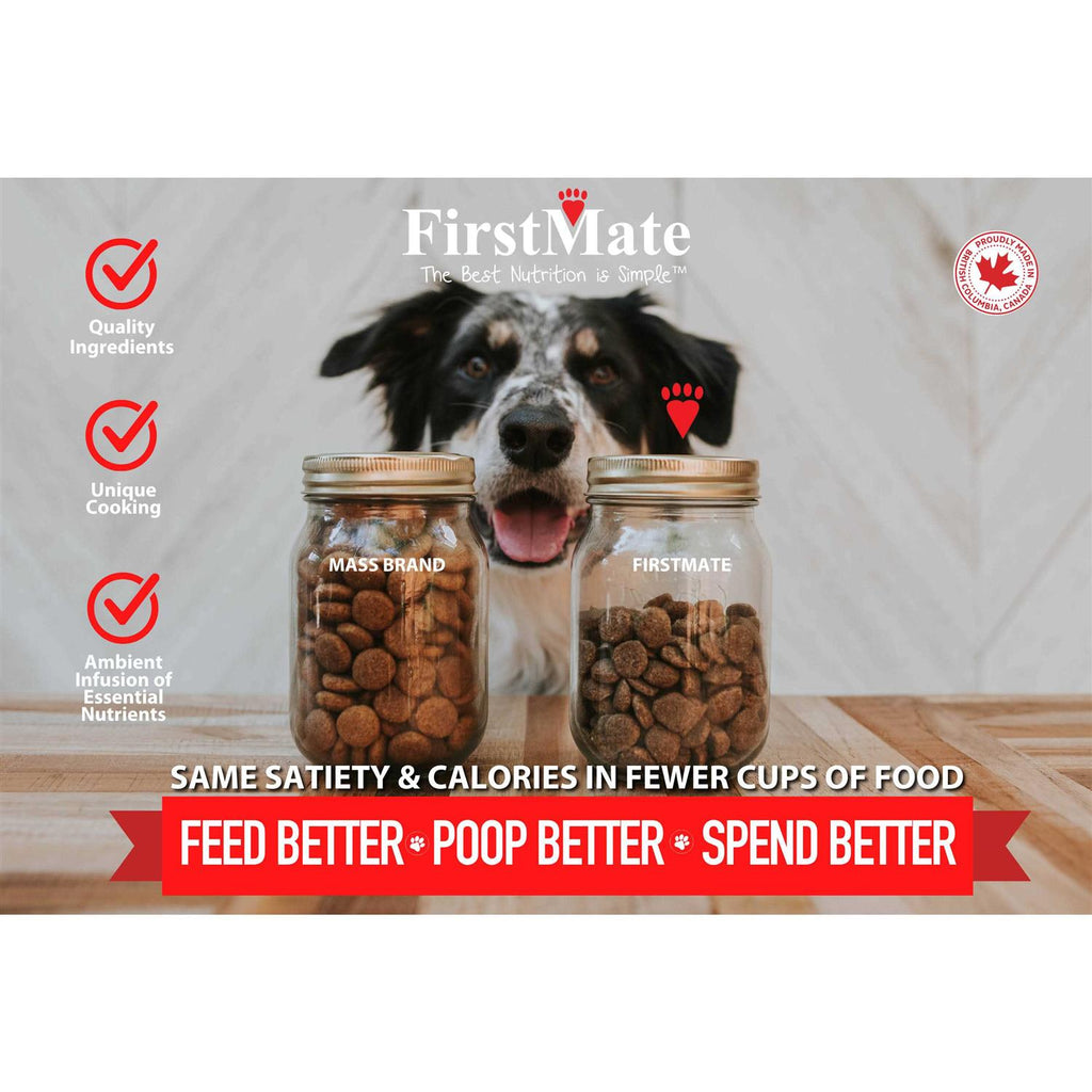 Grain Friendly Cage Free Duck & Oats Dry Dog Food X2534