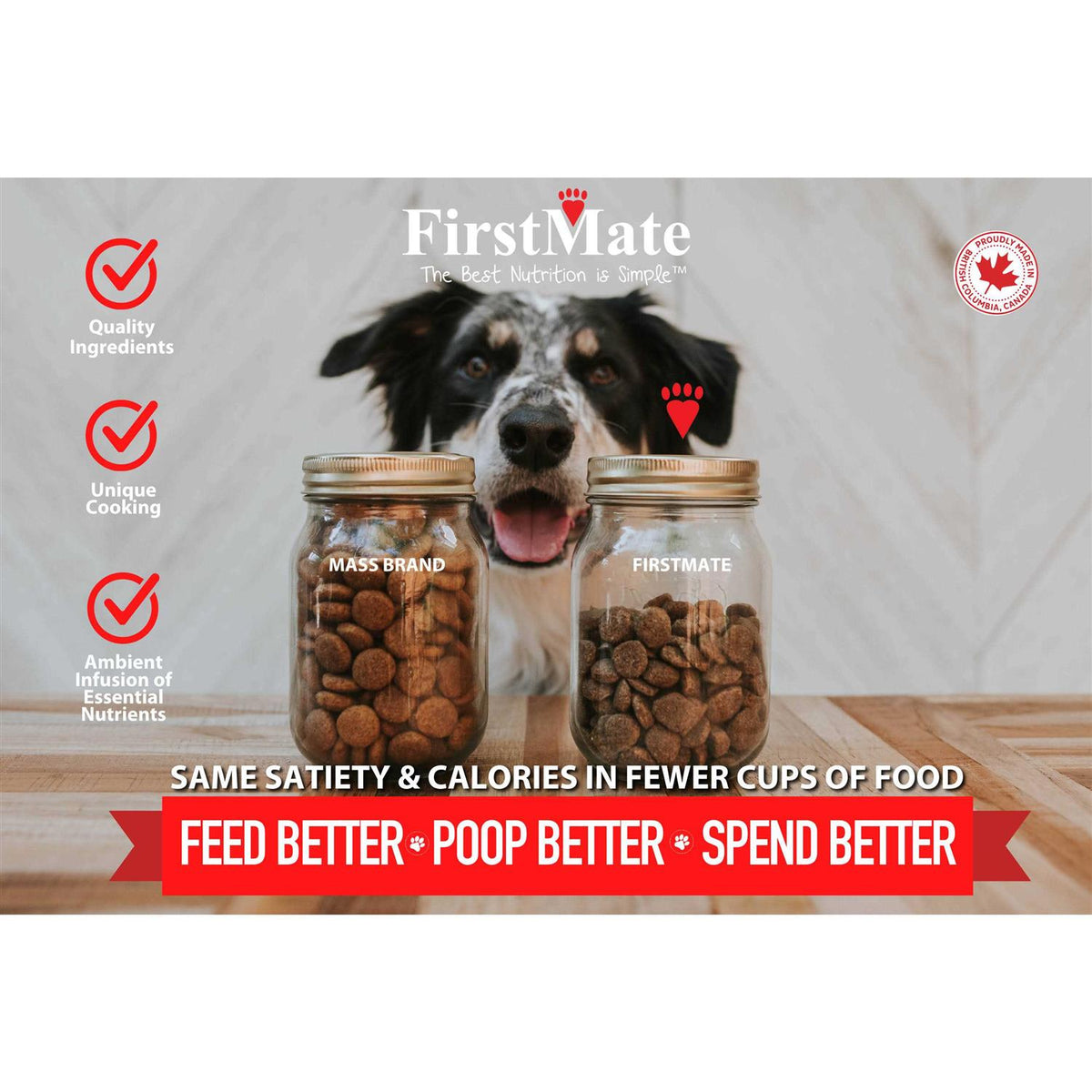 Grain Friendly Cage Free Duck & Oats Dry Dog Food X2534