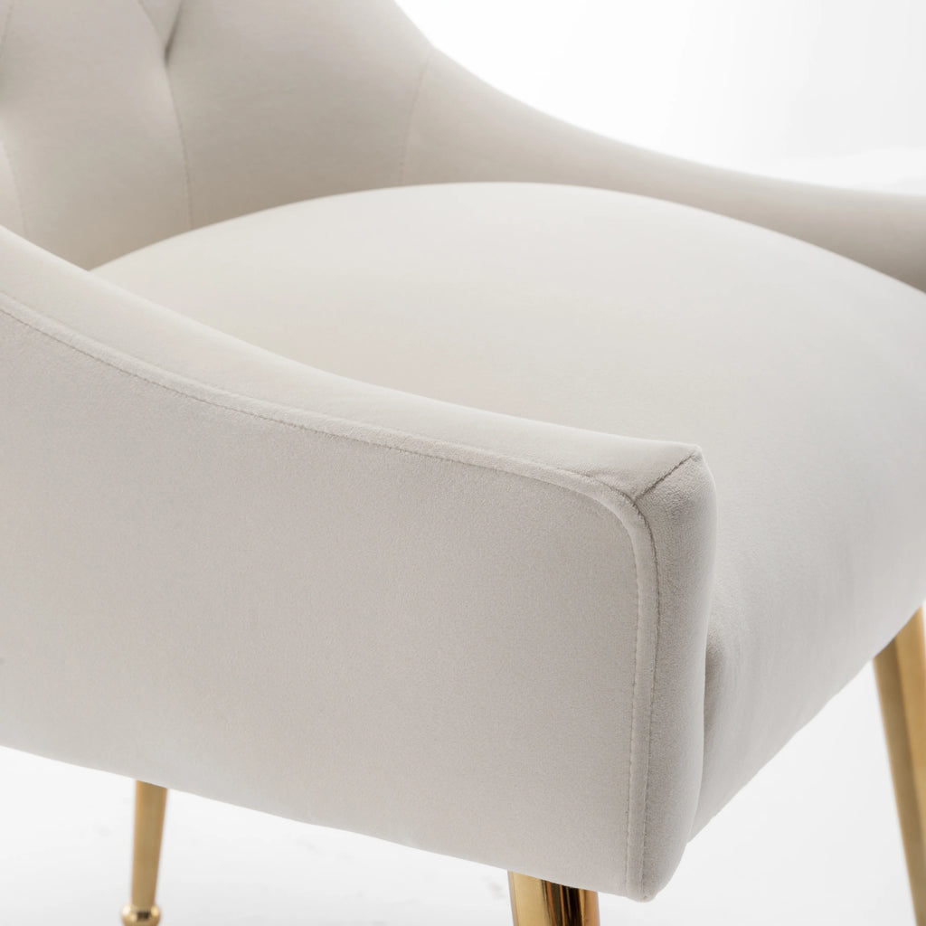 Velvet Dining Chairs Set of 2 Z2794