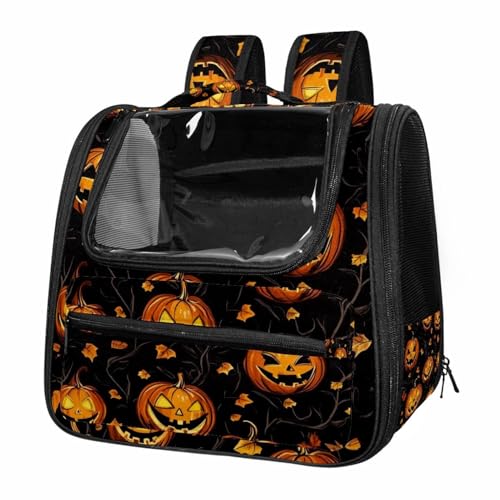 Soft Sided Pet Carrier for Small Medium Cats Dogs M476