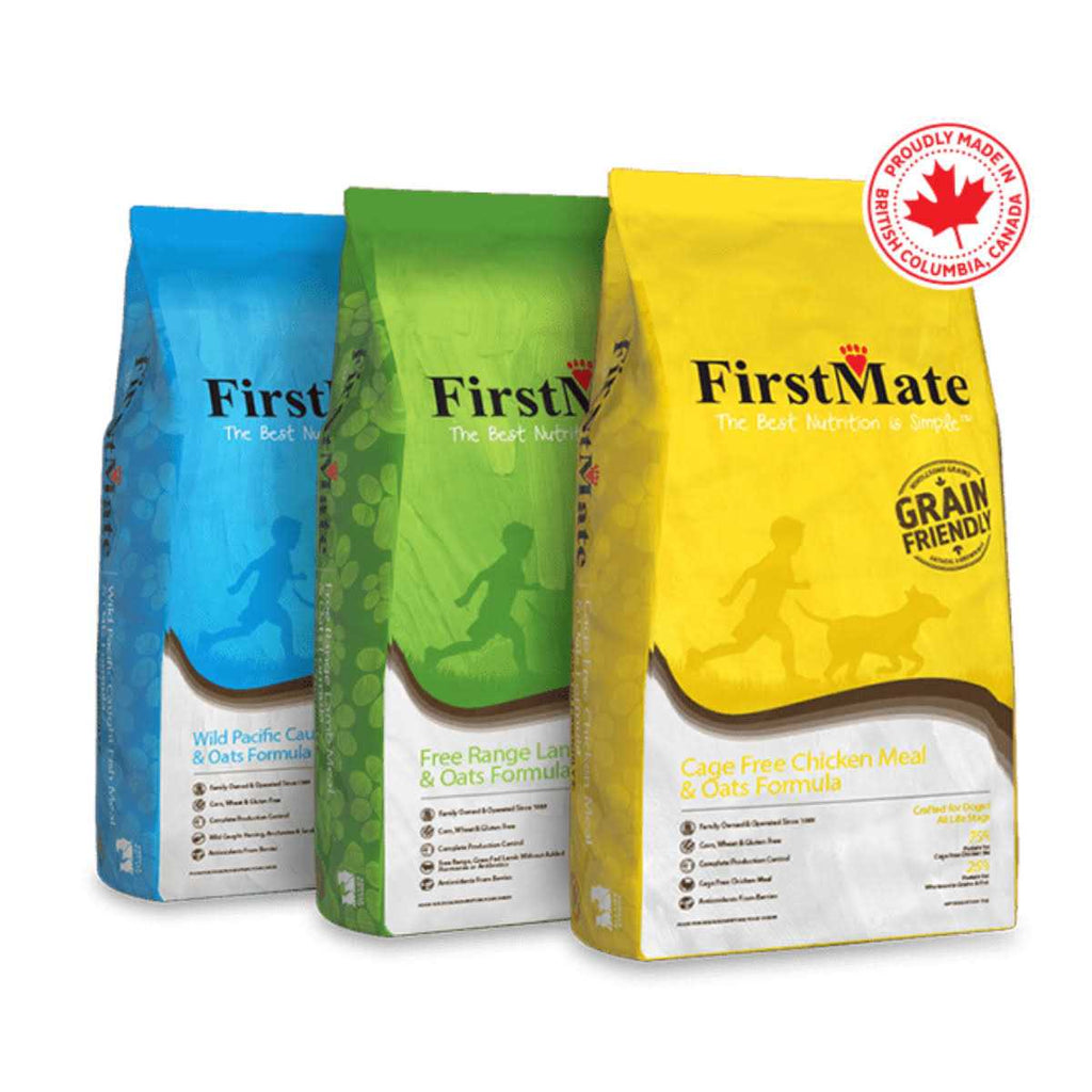 Grain Friendly Cage Free Duck & Oats Dry Dog Food X2534