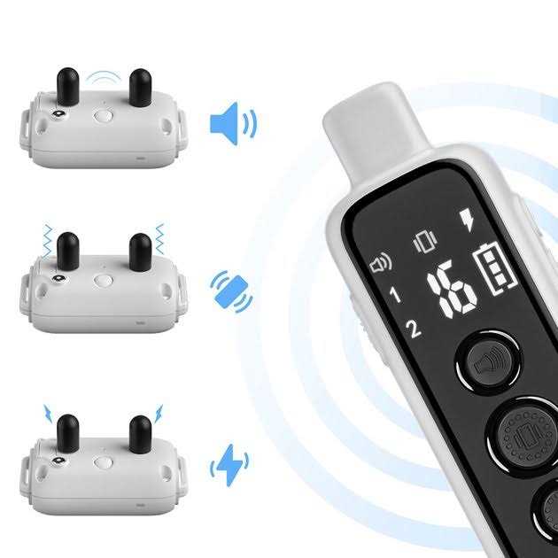Remote Training Collar for Dogs T527213