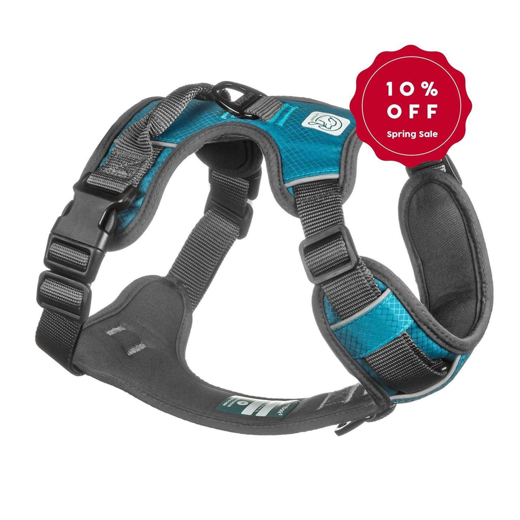 Dog Harness Leash P49303