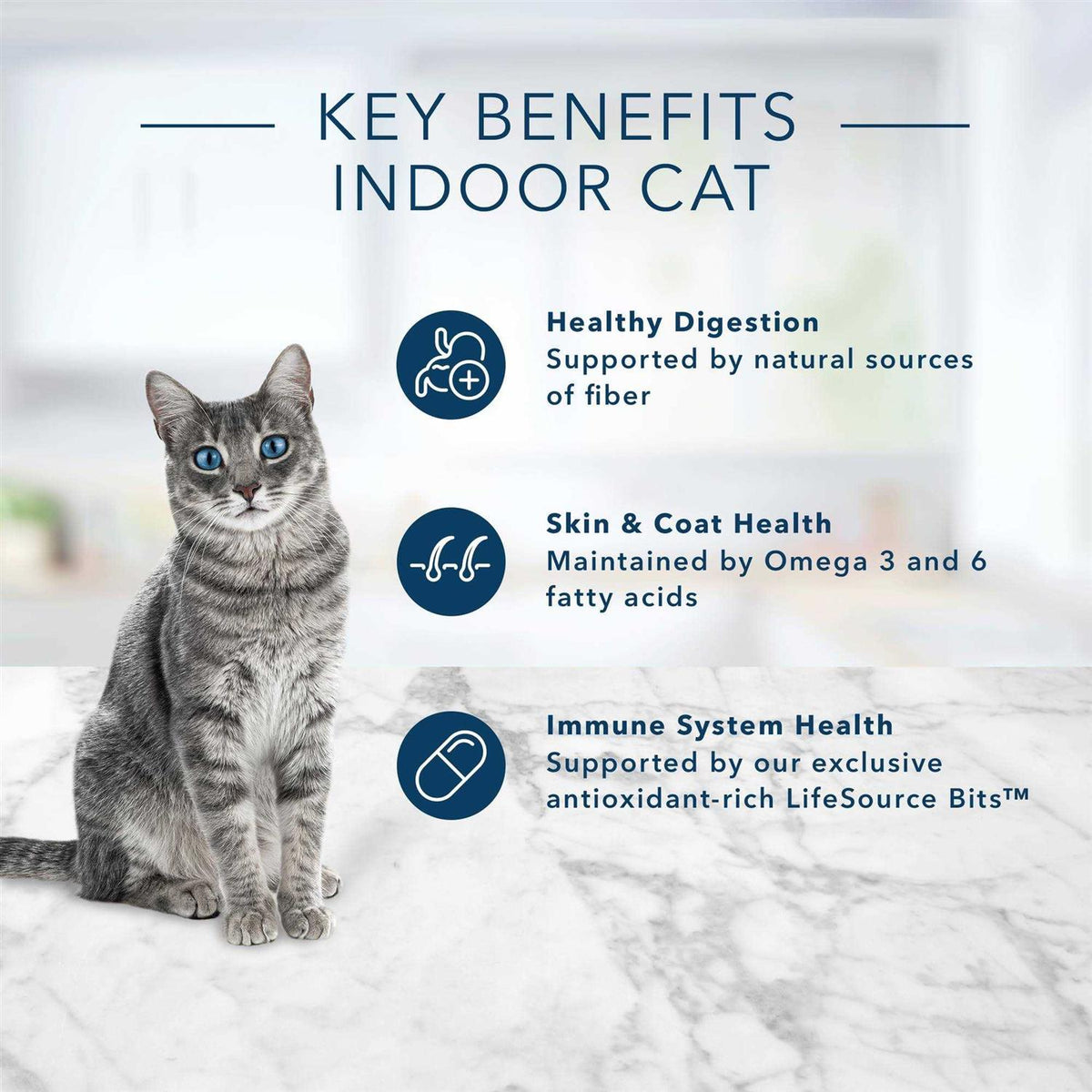 Adult Dry Cat Food Brown Rice B902