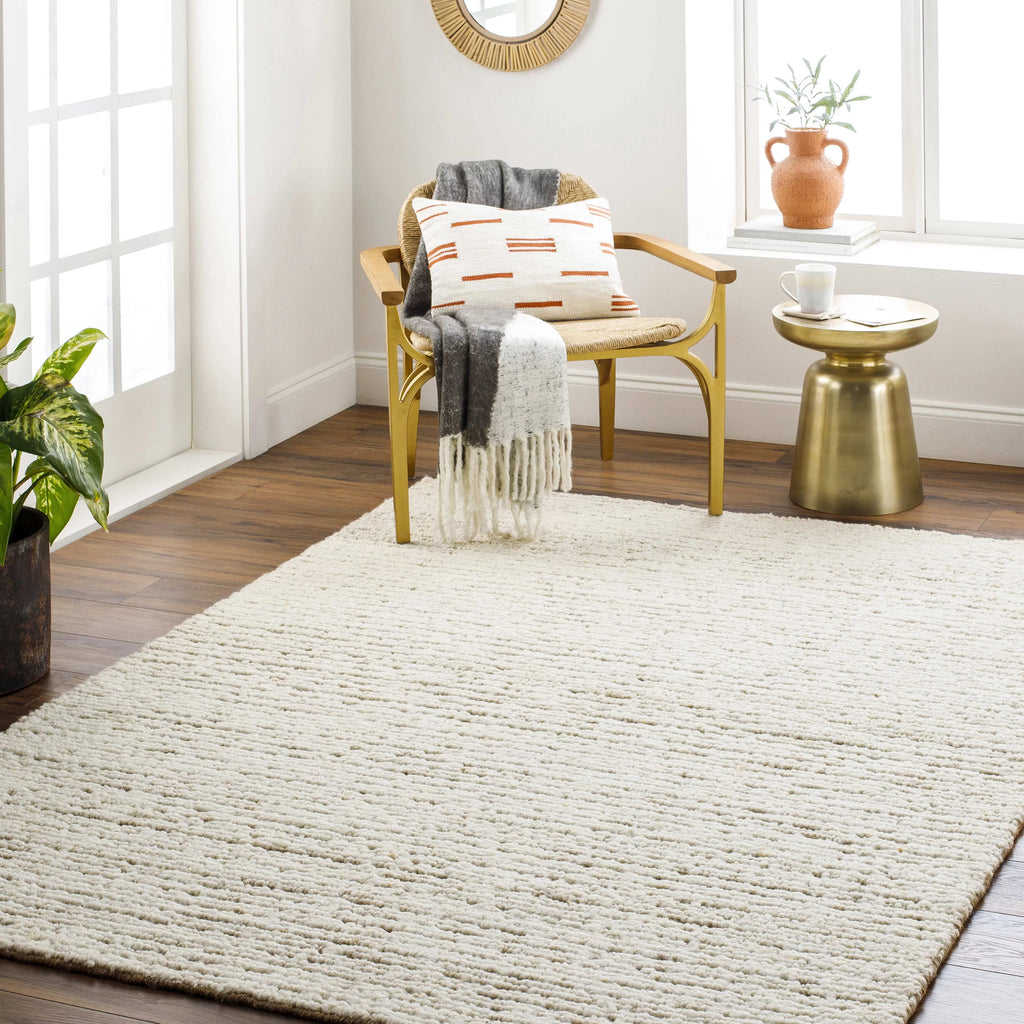 2x3 Beige Modern Area Rug Z7372