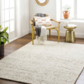 2x3 Beige Modern Area Rug Z7372