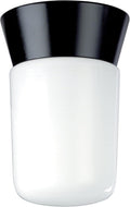 Satin Aluminum Outdoor Wall Mount Light with White Glass Cylinder Z96770