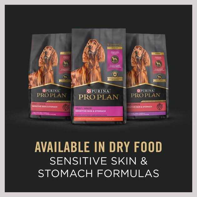 Oat Meal Entree Wet Dog Food R68908