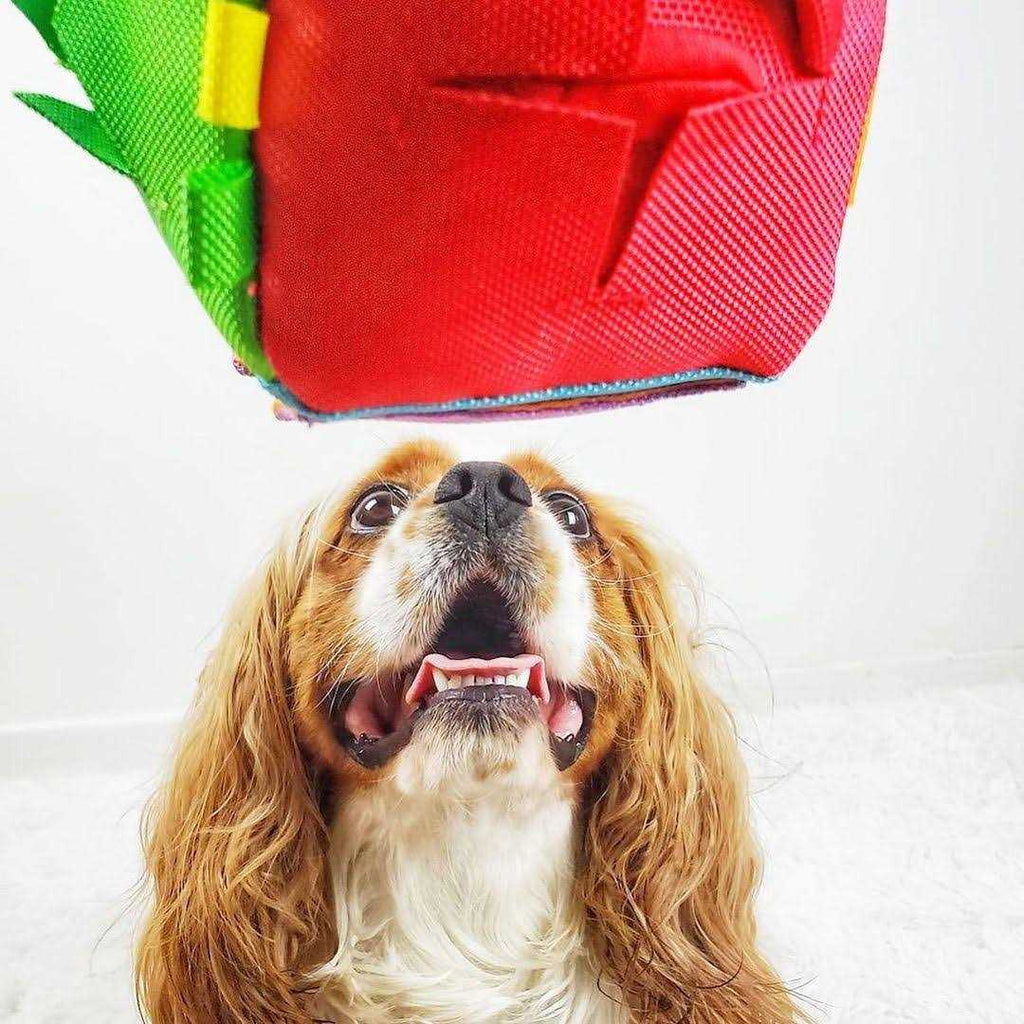 Cube Dog Puzzle Toy L9583