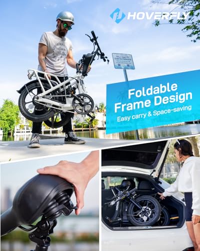 16" Folding Electric Bike with Removable Battery I680212