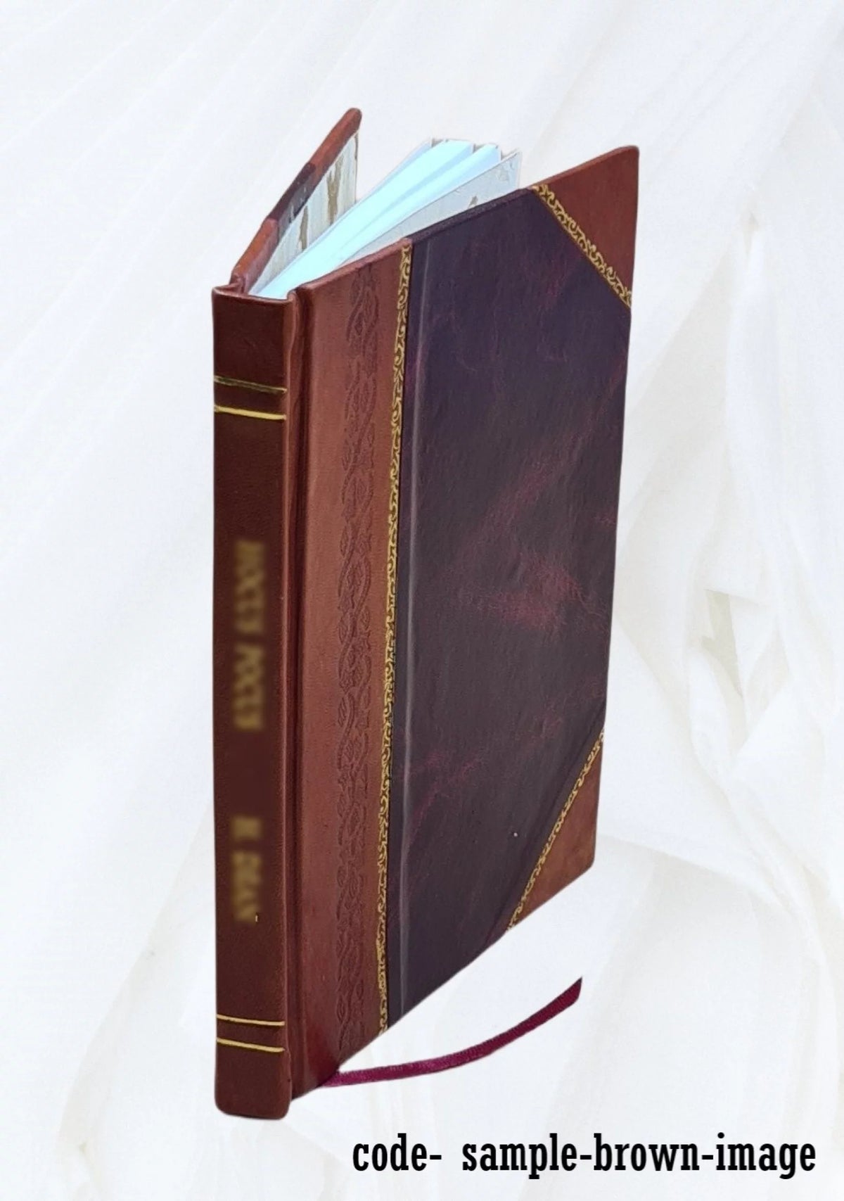 Ancient Portraits Objects d'Art Furniture Porcelain 1902 Leather Bound K691178