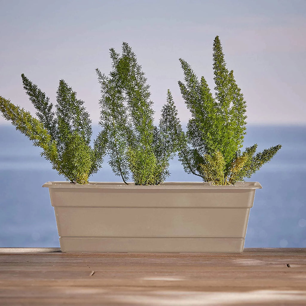 Window Box Planter with Tray 24" A273