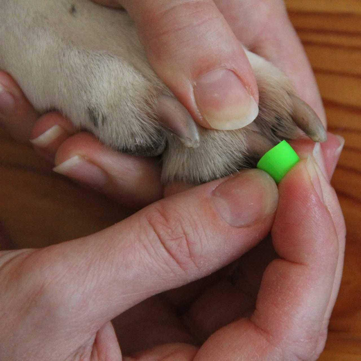 Large Toegrips for Dogs Q9586