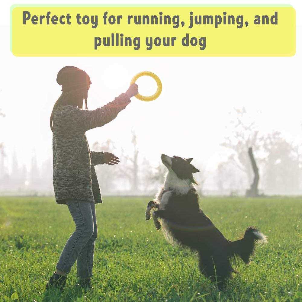 Dog Training Ring and Flying Disc Interactive Toy J352545