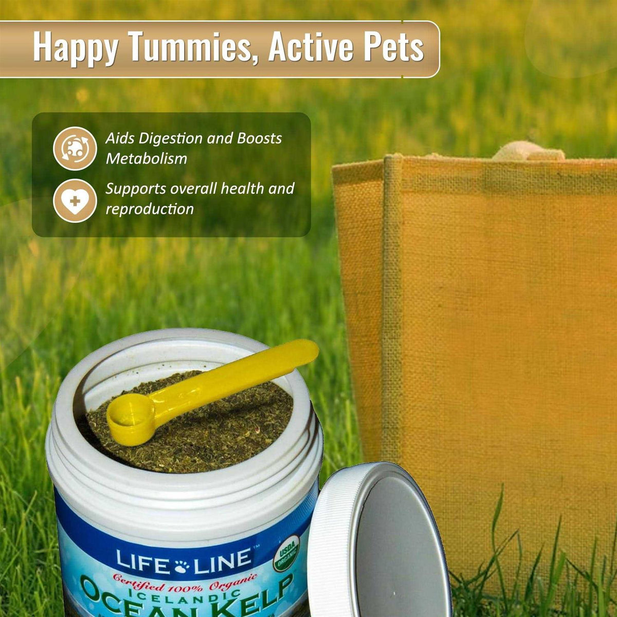 Ocean Kelp Dog & Cat Supplement O3269