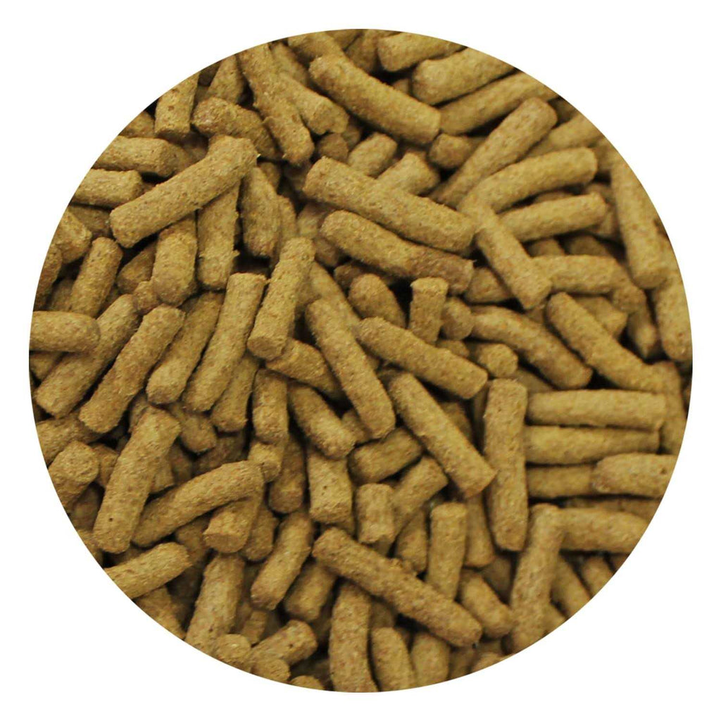 Insectivore Diet M386210