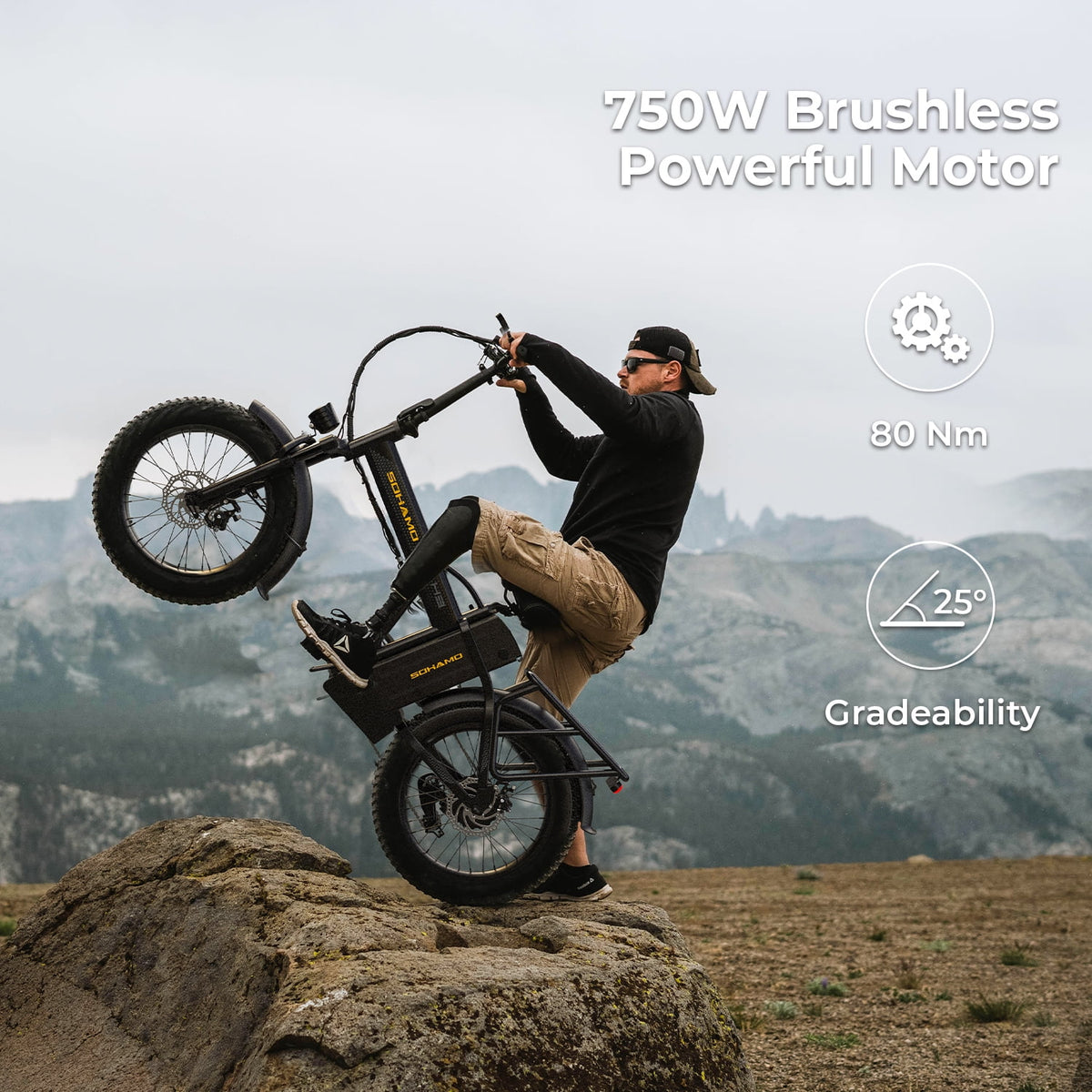 20 Fat Tire Folding Electric Bike 750W 48V 15Ah D6682