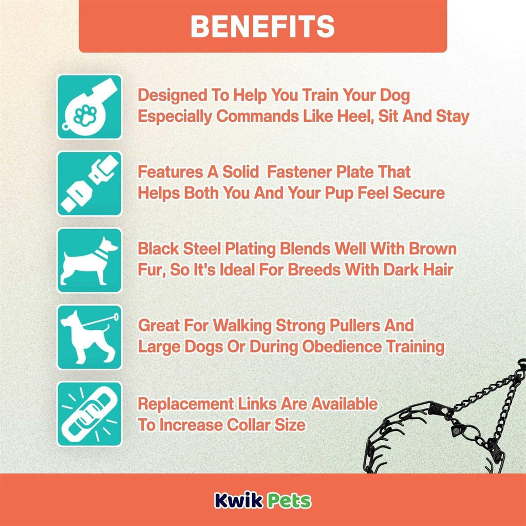 Stainless Dog Prong Training Collar N43127