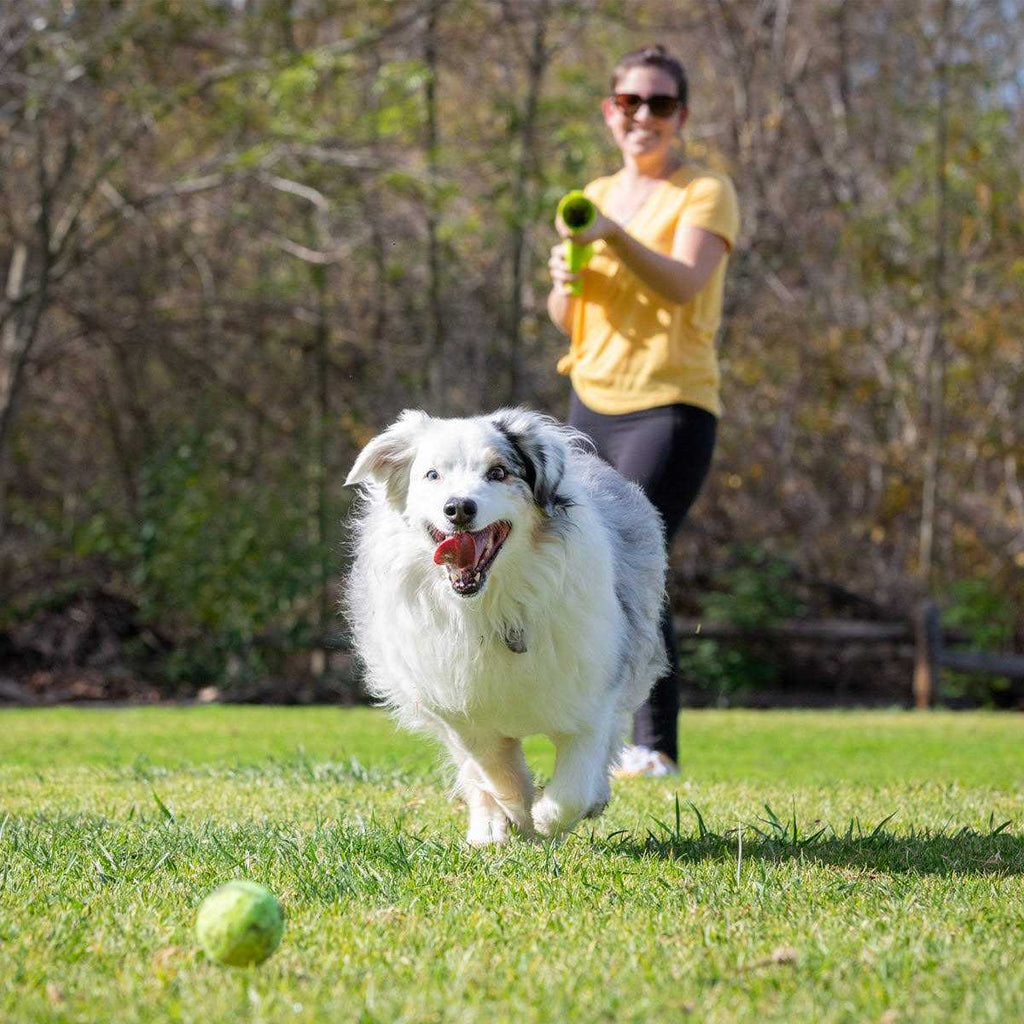 K9 Kannon Ball Launcher L329