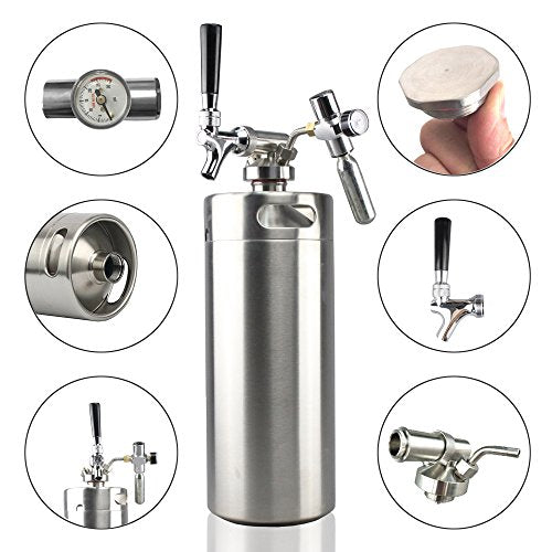 Stainless Steel Mini Keg Dispenser Portable Kegerator Kit (128oz) Z308