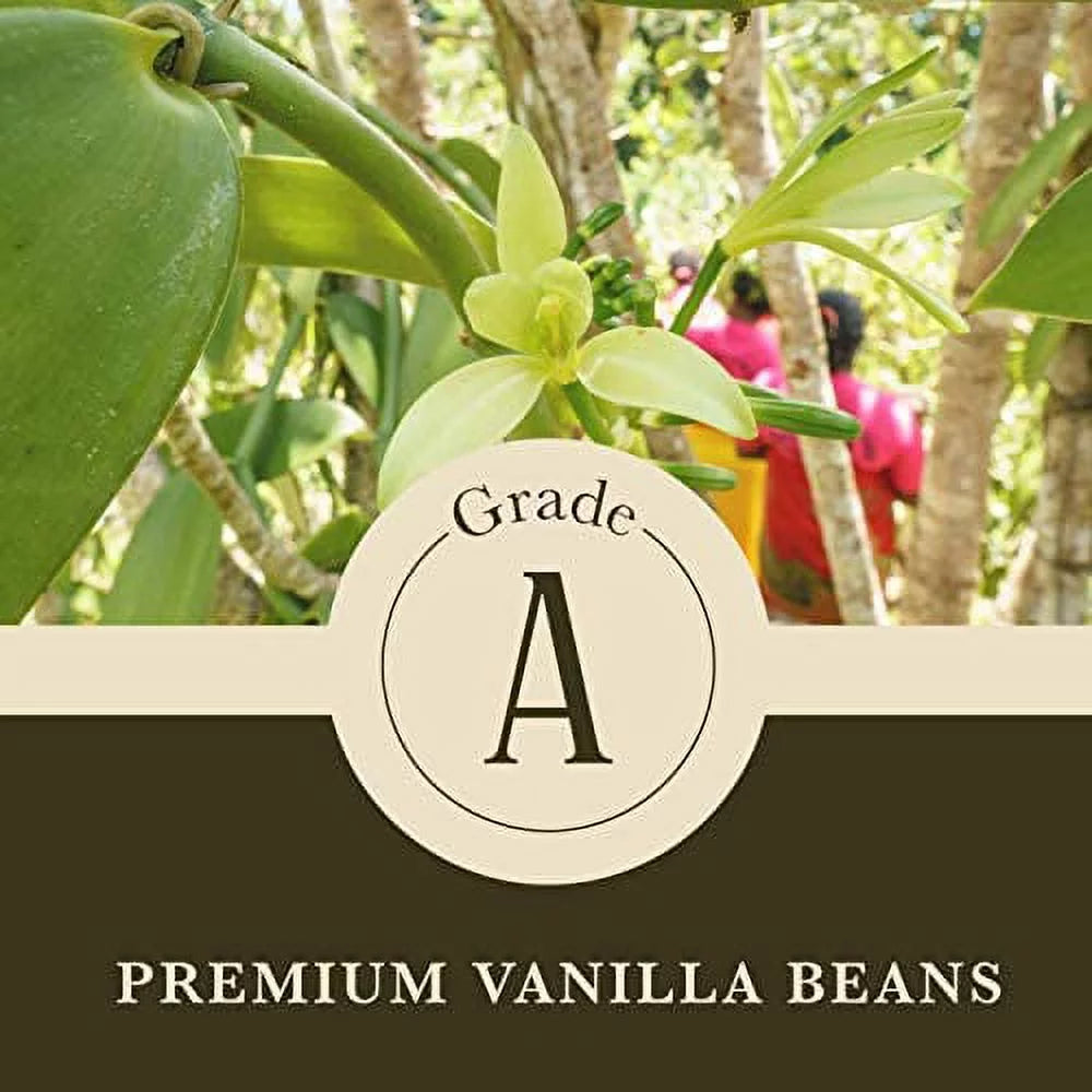 80 Ounce Pure Vanilla Powder D158411