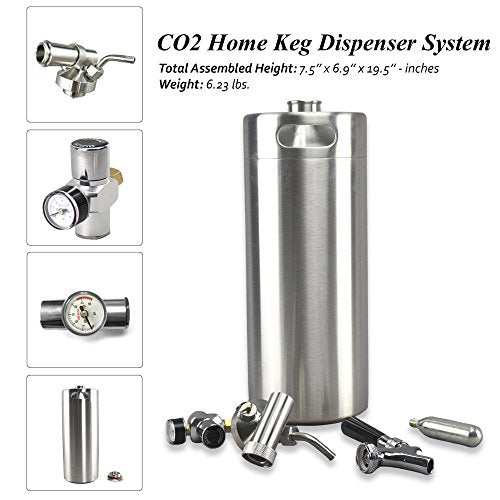 Stainless Steel Mini Keg Dispenser Portable Kegerator Kit (128oz) Z308