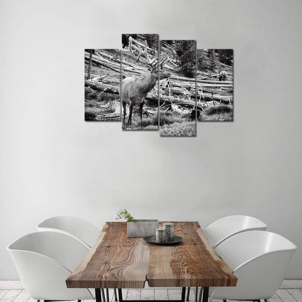 Black and White Deer Canvas Wall Art 4 Pieces C96808