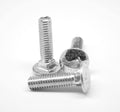3/8x22-16 x 7x22 Coarse Thread Carriage Bolt Stainless Steel 316 Z843949