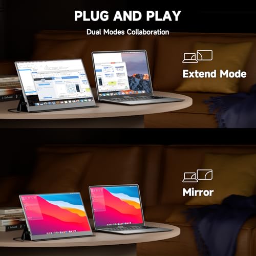 15.6 Inch 1080P IPS Portable Monitor O292