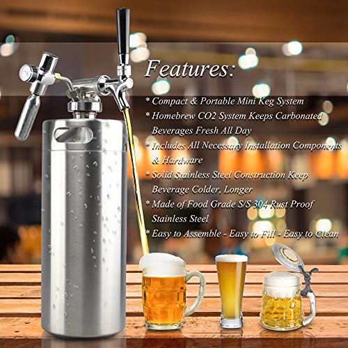 Stainless Steel Mini Keg Dispenser Portable Kegerator Kit (128oz) Z308