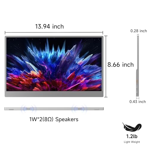 15.6 Inch 1080P IPS Portable Monitor O292