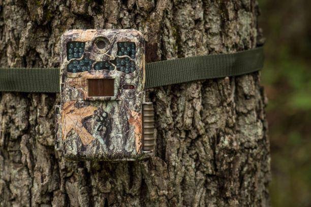 Trail Camera W499