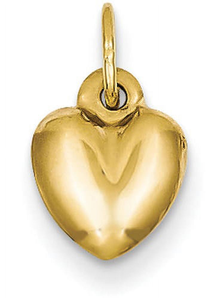 14 Karat Yellow Gold Polished Heart Charm with 18-inch Cable Rope Chain T1933