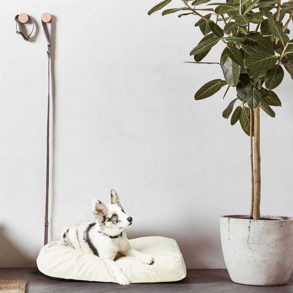 Dog Bed B875924