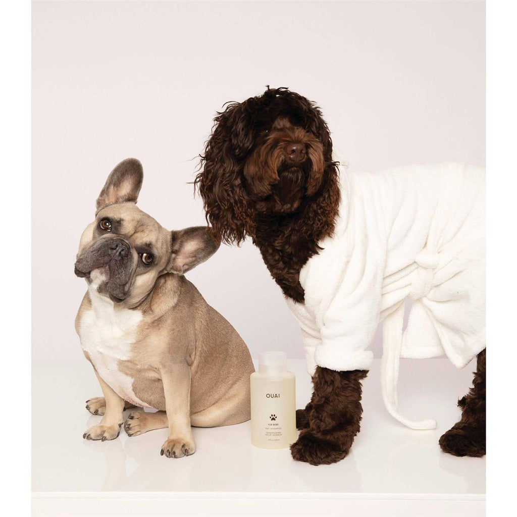 Pet Shampoo V239077