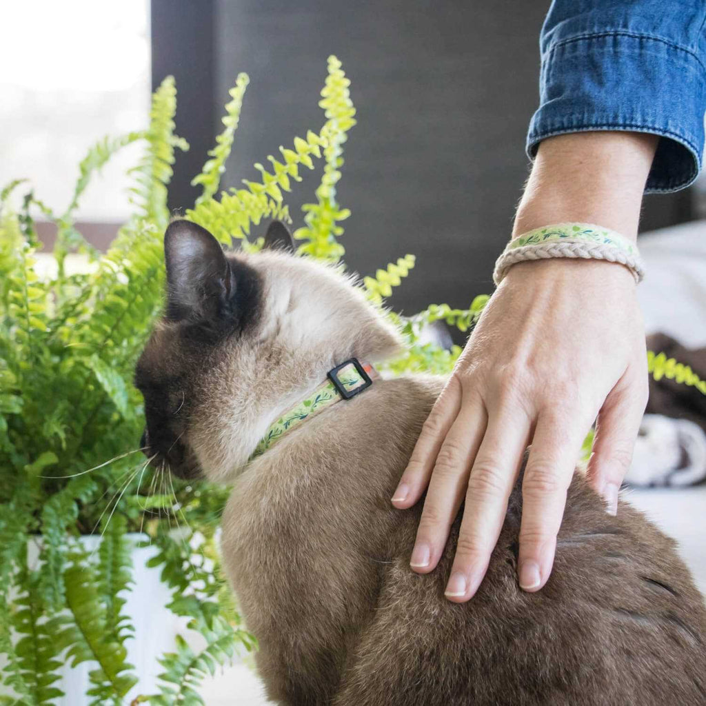 Cat Collar Breakaway H155395