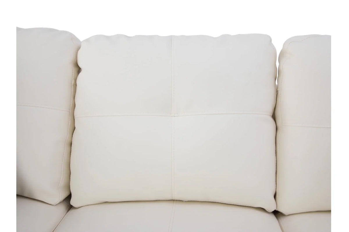 Black&White Leather Sectional Sofa Set with Storage Ottoman and Matching Pillows F21951