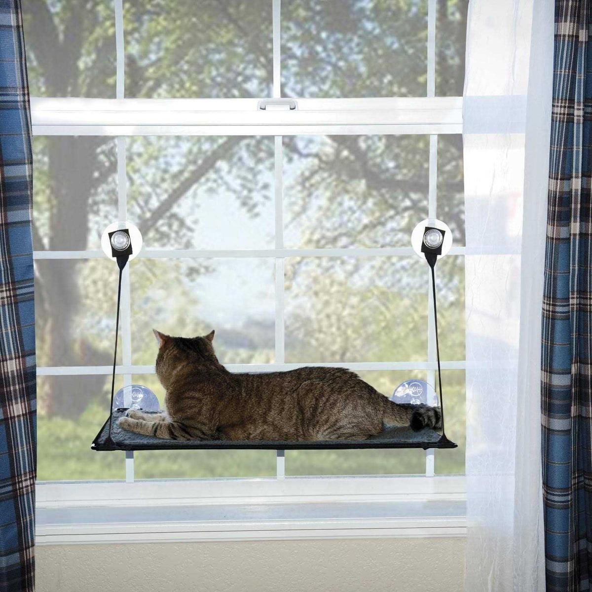 Window Kitty Sill X7372