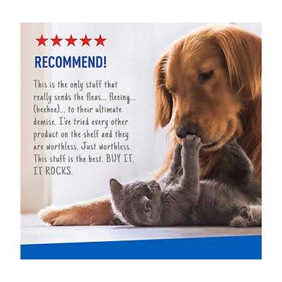 Flea Tick Spray Y569