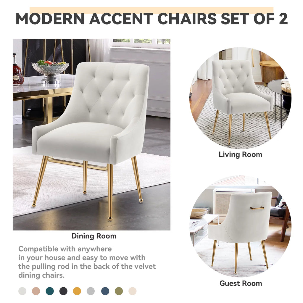 Velvet Dining Chairs Set of 2 Z2794