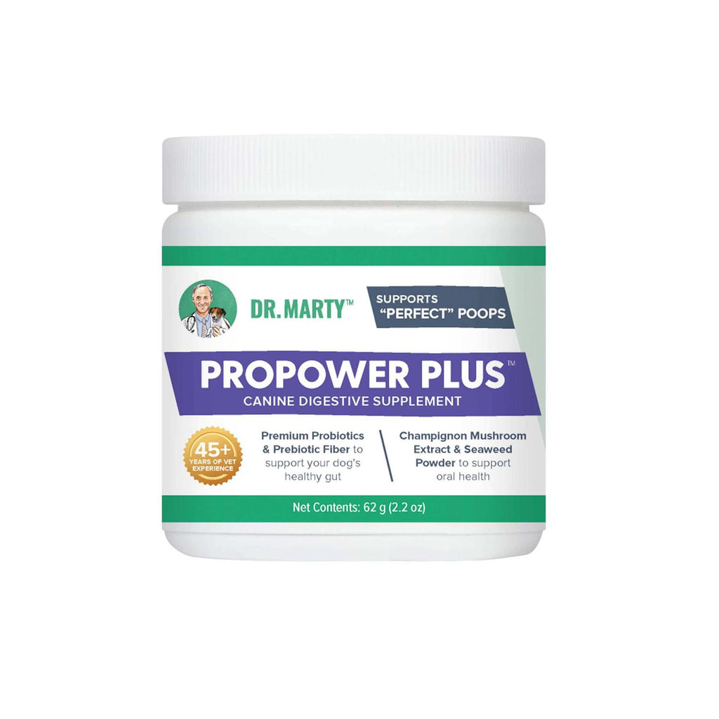 Digestive Supplement for Dogs D3190