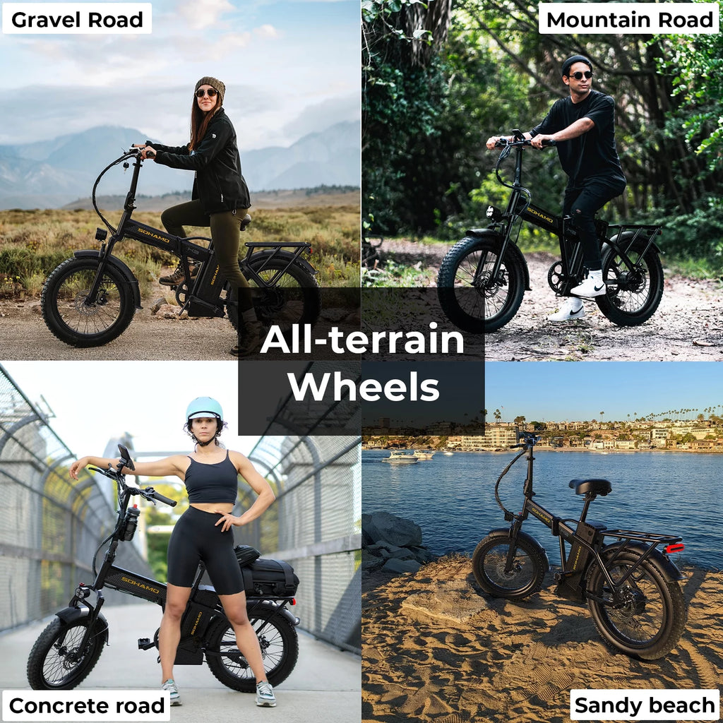 20 Fat Tire Folding Electric Bike 750W 48V 15Ah D6682