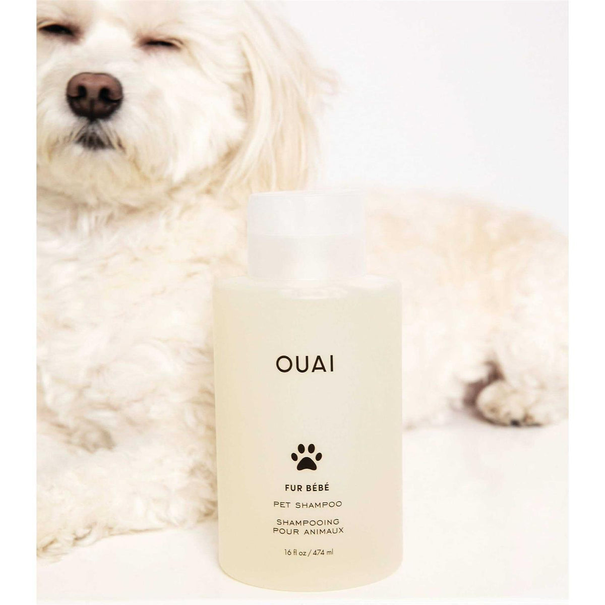 Pet Shampoo V239077