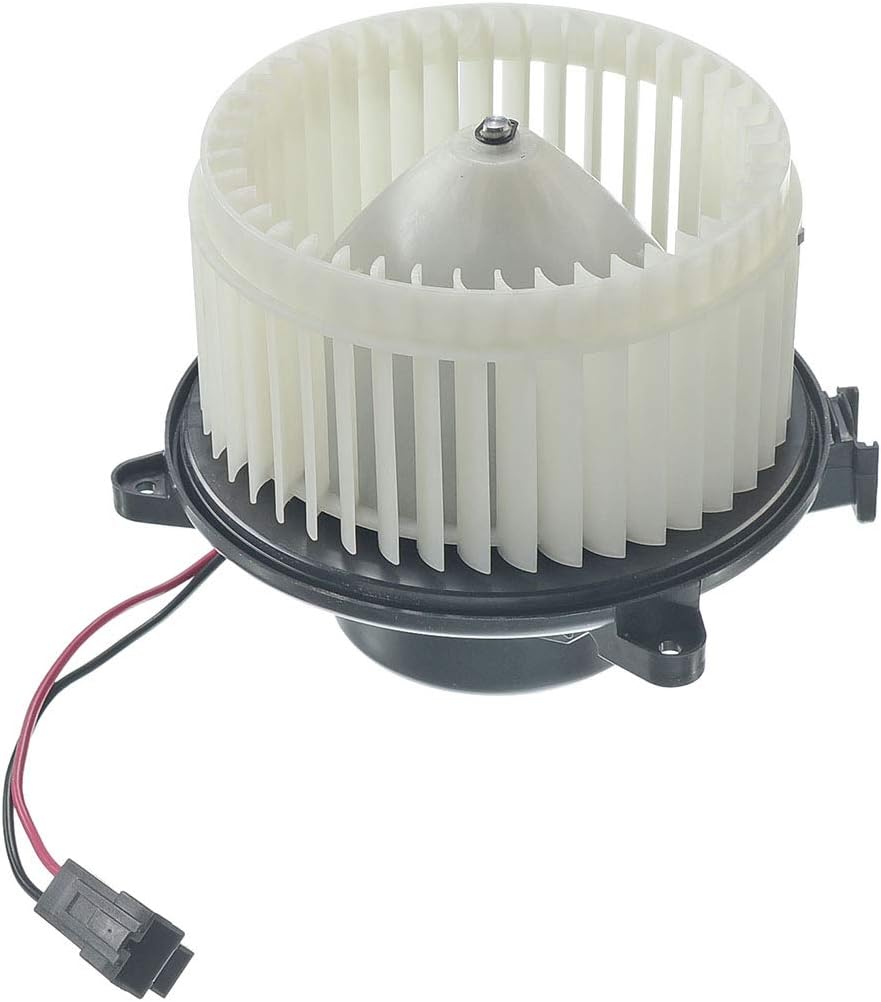 Heater Blower Motor with Fan Cage Pack of 2 D334