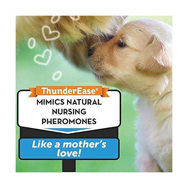 Calming Diffuser Kit Dog U5962
